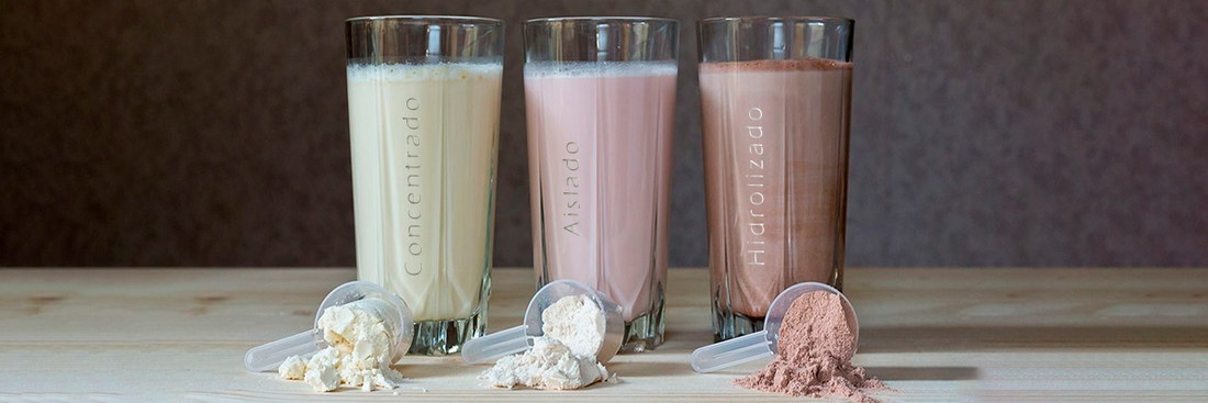 Concentrado vs Aislado de proteína: ¿Cuál necesitas realmente?