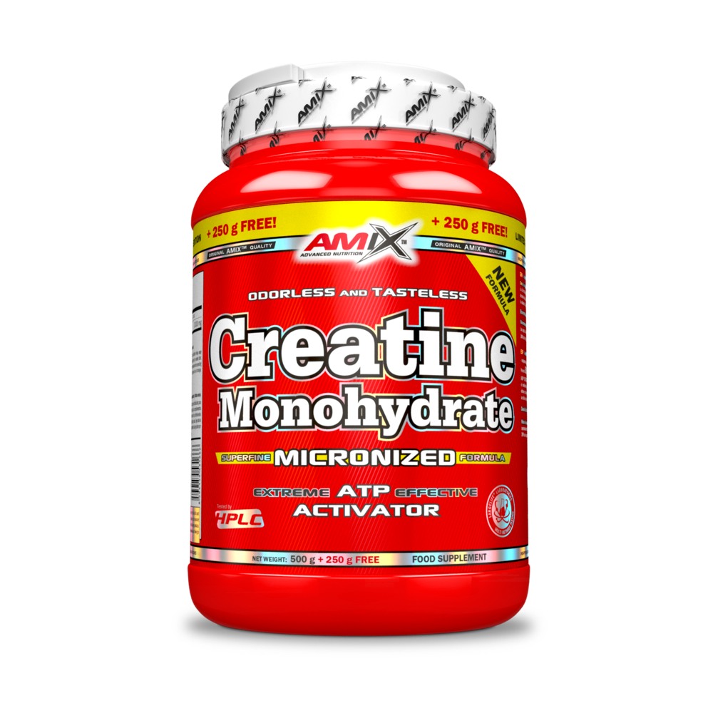 CREATINE 500 GR