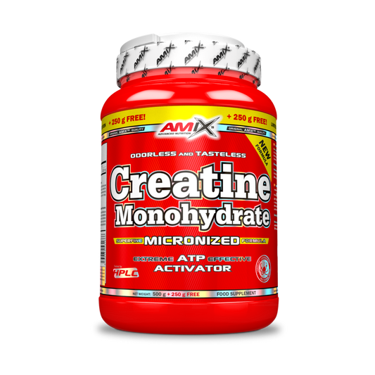 CREATINE 500 GR