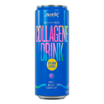 AMIX COLLAGENE DRINK 24*250 ML