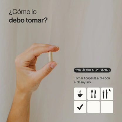 Nootrópico con Ginkgo biloba, Bacopa, Té Verde, Tirosina y vitaminas del grupo B - 120 Cápsulas