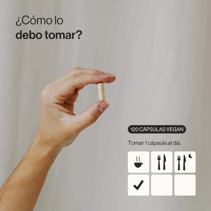 Extracto de Melena de León Ecológico 50% Polisacáridos, 15% Beta-Glucanos - 120 Cápsulas
